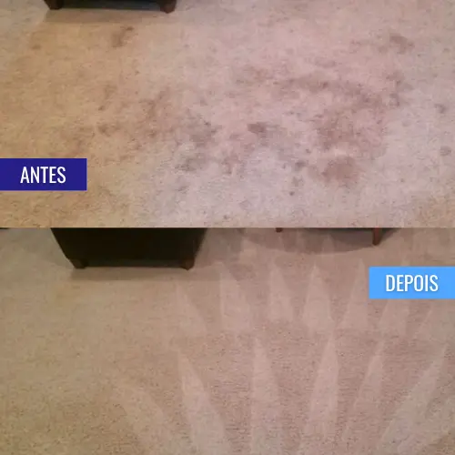 _personal_clean_carpete_antes_e_depois (10)