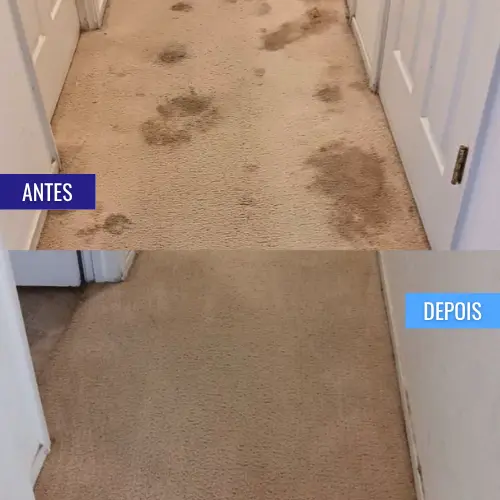 _personal_clean_carpete_antes_e_depois (8)
